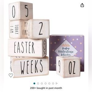 Baby Monthly Milestone Blocks Rae Dun